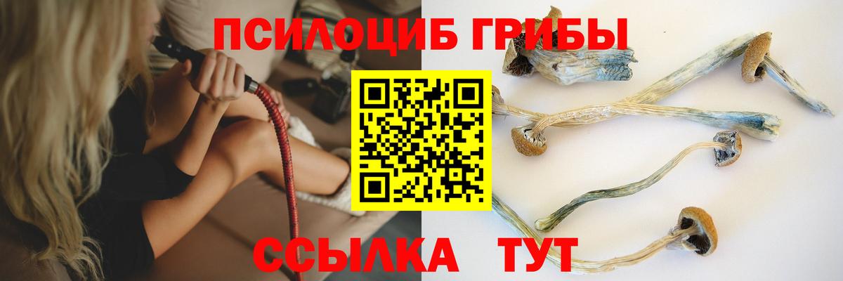 Северобайкальск  Галлюциногенные грибы Psilocybine cubensis  Вход с VPN 