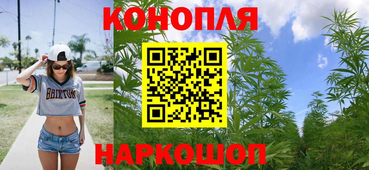 МАРИХУАНА OG Kush  Вход с VPN  МАРИХУАНА план  Северобайкальск 